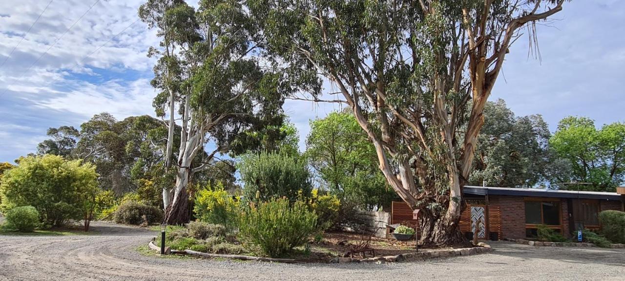 Halls Haven Holiday Units Halls Gap Exterior photo